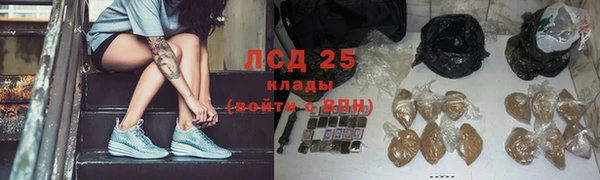 ПСИЛОЦИБИНОВЫЕ ГРИБЫ Баксан