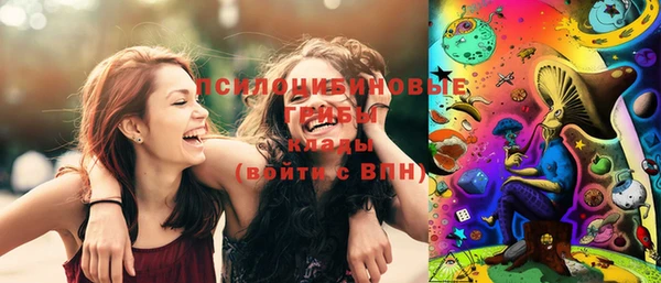 стаф Балахна