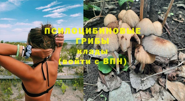дурь Белоозёрский