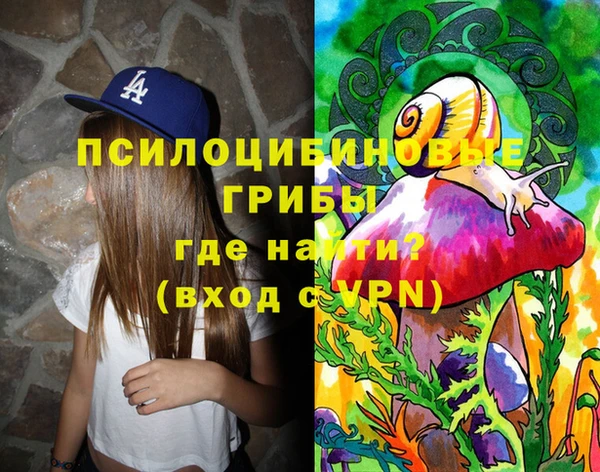 стаф Балахна